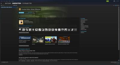 Лот: 8587861. Фото: 1. Steam аккаунт с игрой Counter-Strike... Аккаунты