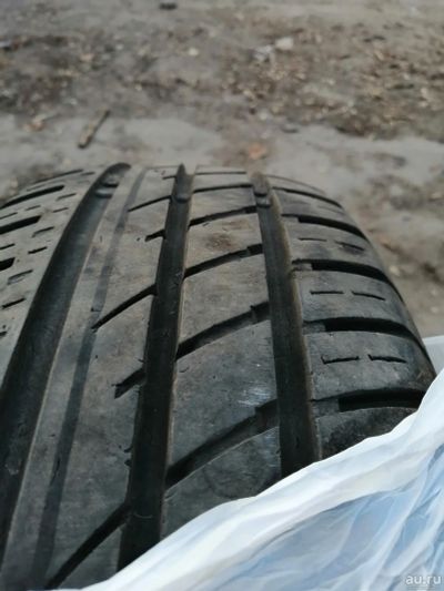 Лот: 13471721. Фото: 1. Matador Elite MP44 195/65 R15... Шины