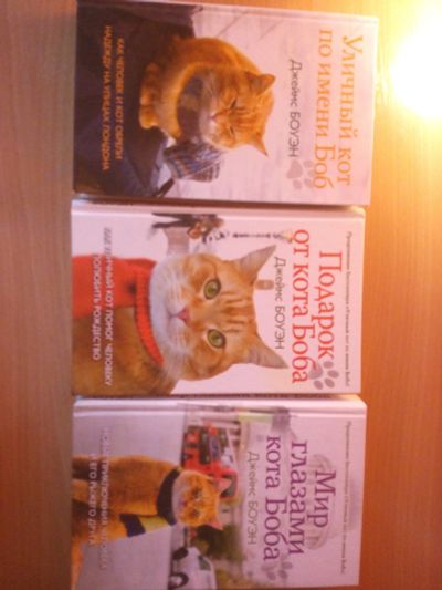 Лот: 11854982. Фото: 1. Серия книг "Уличный кот по имени... Художественная
