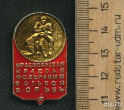 Лот: 18273705. Фото: 1. (№11532) значки спорт, Красноярская... Памятные медали