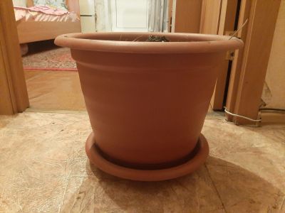 Лот: 15595601. Фото: 1. Горшок. Кашпо, горшки, вазоны для цветов
