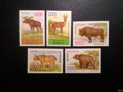 Лот: 13858215. Фото: 1. 1996. Беларусь. Животный мир Беларуси... Марки