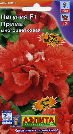 Лот: 3915915. Фото: 1. Петуния многоцветковая, махровая... Другое (семена, рассада, садовые растения)