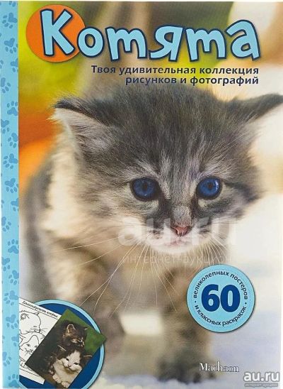 Лот: 18523282. Фото: 1. Книга. Котята.Твоя удивительная... Книги для родителей