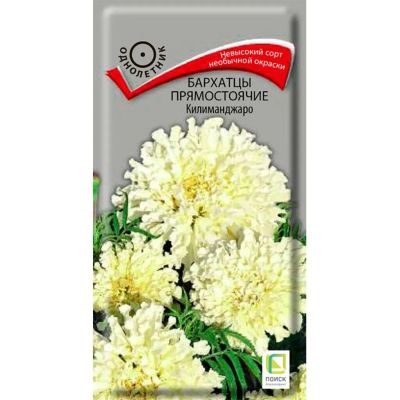 Лот: 24642566. Фото: 1. Семена Цветы, Бархатцы, Килиманджаро... Другое (семена, рассада, садовые растения)