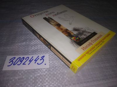 Лот: 24386015. Фото: 1. (3092343)Гольман И. Отпусти кого... Художественная