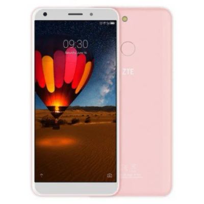 Лот: 13504534. Фото: 1. Мобильный телефон ZTE Blade V9... Кнопочные мобильные телефоны