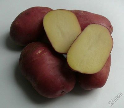 Лот: 5623352. Фото: 1. Картофель / картошка семенной... Картофель