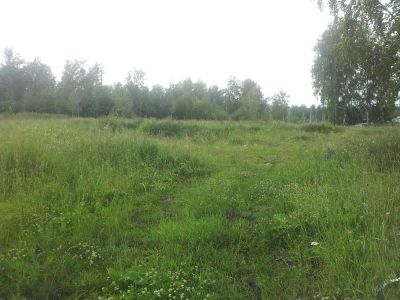 Лот: 3671699. Фото: 1. Продам участок 35 соток ИЖС с... Красноярск