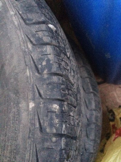 Лот: 17456605. Фото: 1. Шины летние Pirelli 155/65 r13... Шины