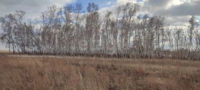 Лот: 25322269. Фото: 1. участок , посёлок Сухая Балка... Земельные участки