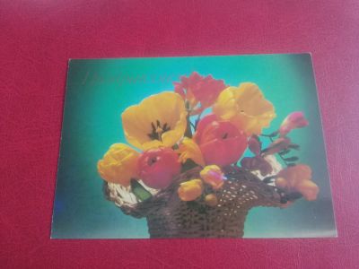 Лот: 20043776. Фото: 1. открытка СССР 1985 г, флора цветы. Открытки, конверты