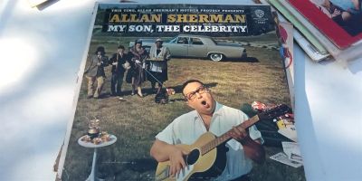 Лот: 19458568. Фото: 1. Allan Sherman виниловая пластинка. Аудиозаписи