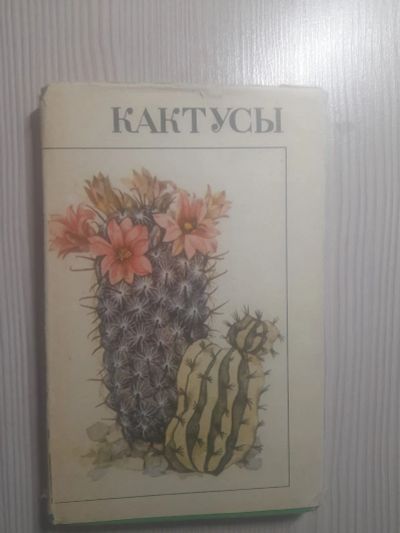 Лот: 20712562. Фото: 1. Книга кактусы. Другое (растения и животные)