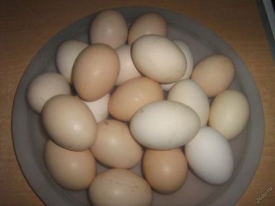 Лот: 7408863. Фото: 1. Яйца деревенские цена за десяток. Мясо, птица, яйцо