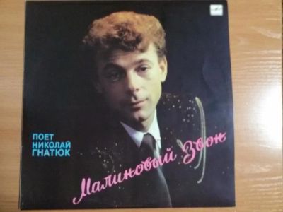 Лот: 9229036. Фото: 1. Виниловая пластинка Н.Гнатюк.Состояние... Аудиозаписи