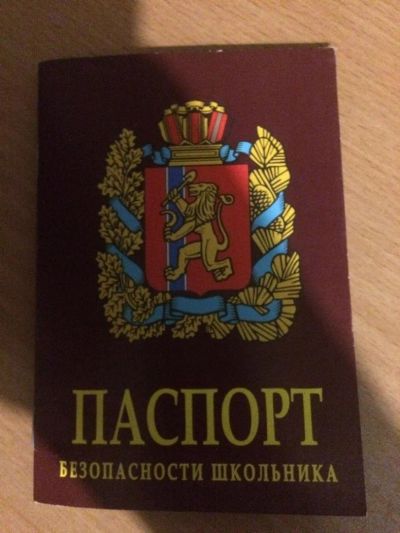 Лот: 10033908. Фото: 1. мультипаспорт безопасности. Другое (дети растут)