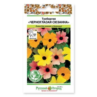Лот: 24683674. Фото: 1. Семена Цветы, Тунбергия, Черноглазая... Другое (семена, рассада, садовые растения)