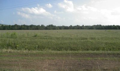 Лот: 5827356. Фото: 1. Участок Сосновоборск. Земельные участки