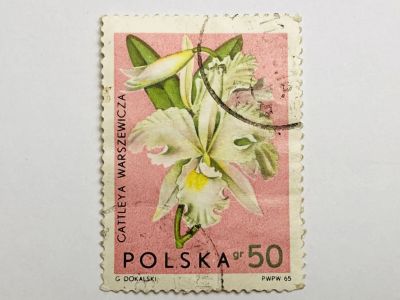 Лот: 23316432. Фото: 1. Цветы. Орхидеи. 50 грошей. Флора... Марки