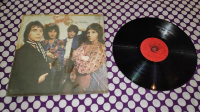 Лот: 24885852. Фото: 1. " Smokie " большая виниловая пластинка... Аудиозаписи