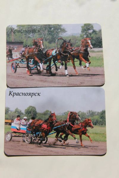 Лот: 4285203. Фото: 1. Лошади. Магниты сувенирные