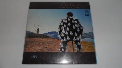 Лот: 9340689. Фото: 1. Pink Floyd "Delicate Sound of... Аудиозаписи