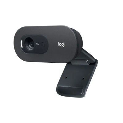 Лот: 24546463. Фото: 1. Веб-камера Logitech C505 HD (960-001364... Веб-камеры
