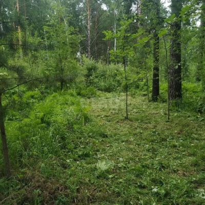 Лот: 25284621. Фото: 1. участок , село Овсянка село Овсянка... Земельные участки