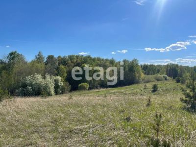 Лот: 25297291. Фото: 1. участок , садовые участки Штаны... Земельные участки