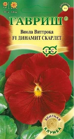 Лот: 11025081. Фото: 1. Виола Динамит Скарлет F1 Виттрока... Садовые цветы