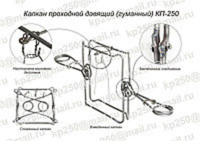 Лот: 6255646. Фото: 1. капкан гуманный кп-320. Снаряжение, маскировка
