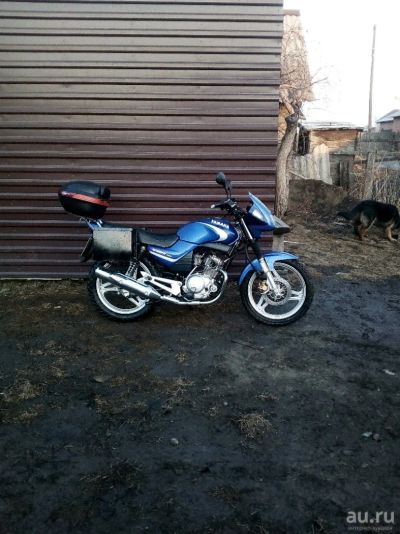 Лот: 13411598. Фото: 1. Yamaha ybr 125. Мотоциклы