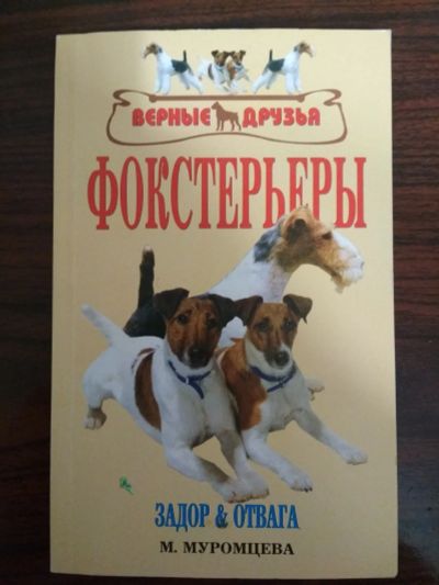 Лот: 15199354. Фото: 1. Книга. Книги для родителей
