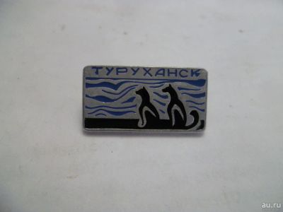 Лот: 9376038. Фото: 1. значок110. Другое (значки, медали, жетоны)