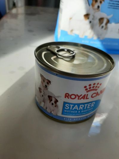 Лот: 18930666. Фото: 1. Кори Royal Canin starter mini... Корма