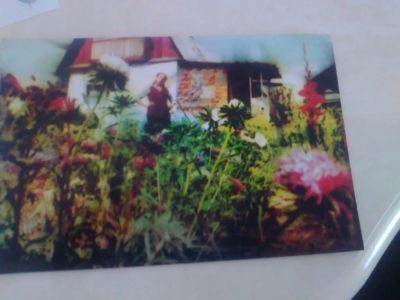 Лот: 7091434. Фото: 1. участок с домом под снос. Земельные участки