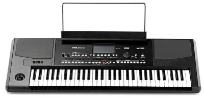 Лот: 25554181. Фото: 1. Korg PA-300. Клавишные