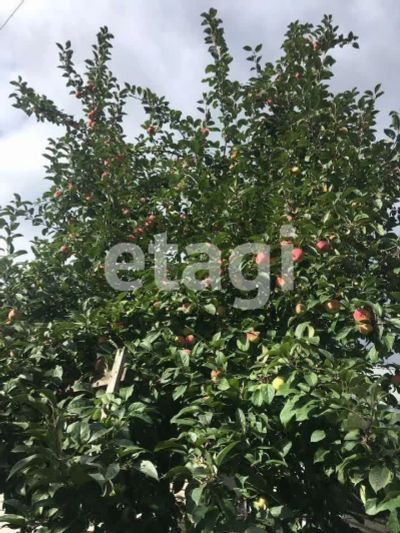 Лот: 25287414. Фото: 1. 2-комн. дом , Железногорск Транзитная... Дома