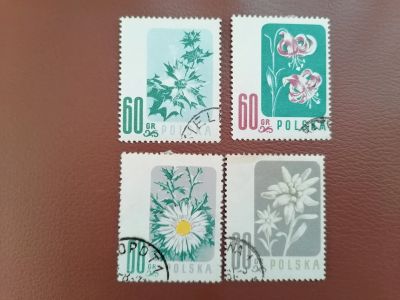 Лот: 25677335. Фото: 1. Польша флора цветы. Марки