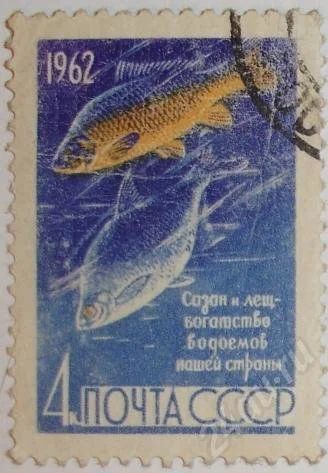 Лот: 9257. Фото: 1. 1962: Сазан и лещ — богатство... Красноярск