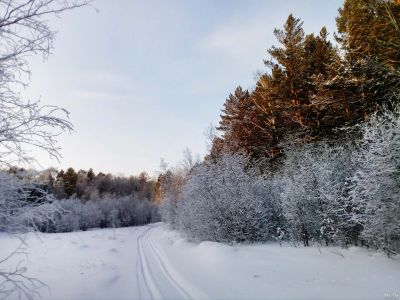 Лот: 12170033. Фото: 1. участок. Земельные участки