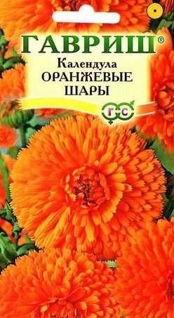 Лот: 11024702. Фото: 1. Календула Оранжевые шары 0,5 г. Садовые цветы