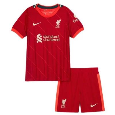 Лот: 18978609. Фото: 1. Футбольная форма Nike Liverpool... Форма