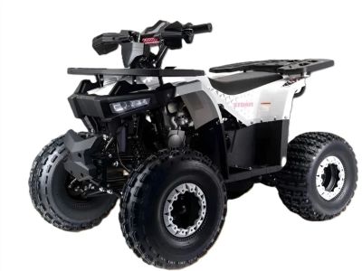 Лот: 25759452. Фото: 1. Квадроцикл MOTOLAND Storm A 125. Снегоходы, квадроциклы