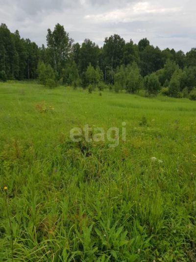 Лот: 25296312. Фото: 1. участок , посёлок Логовой Майская... Земельные участки
