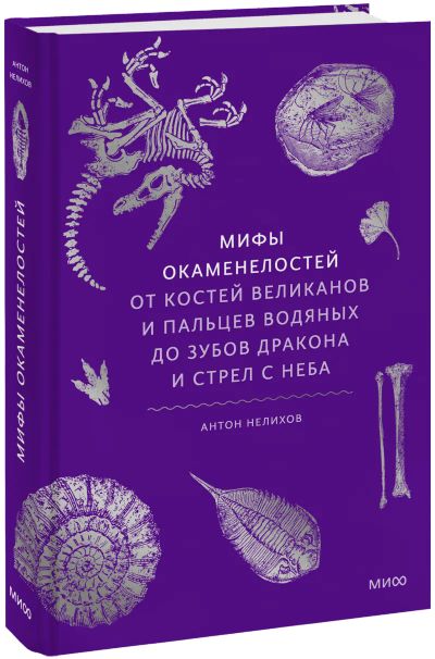 Лот: 24458108. Фото: 1. Мифы окаменелостей. Другое (искусство, культура)