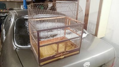 Лот: 6433361. Фото: 1. Клетка для птиц С РУБЛЯ. Домики, переноски, клетки, когтеточки