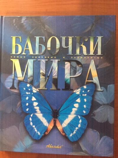 Лот: 19235468. Фото: 1. Бабочки мира, шикарная книга-альбом. Энциклопедии