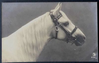 Лот: 15313058. Фото: 1. старинная открытка * лошади... Открытки, конверты